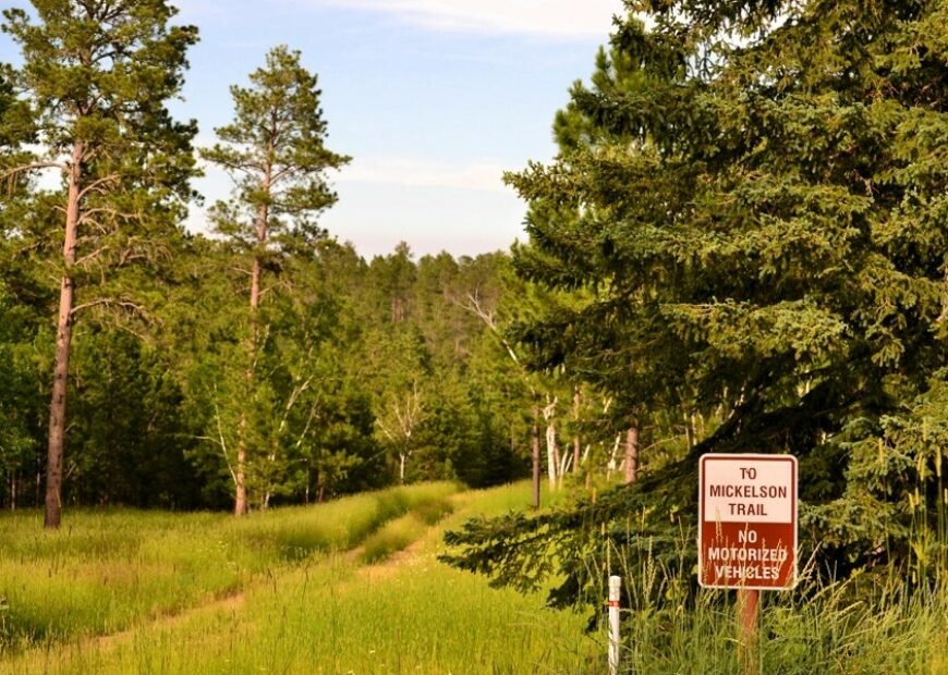 Trail in the black hills