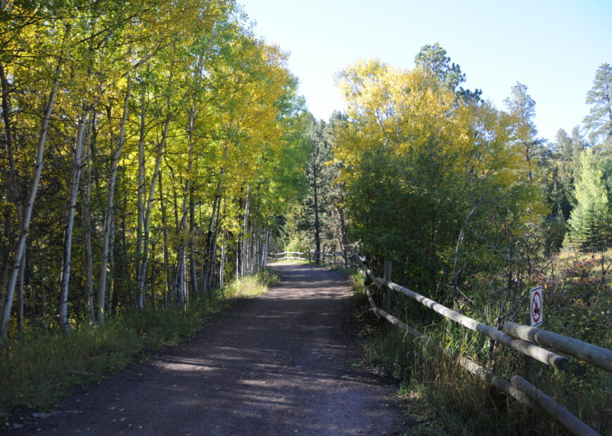 road through the black hills