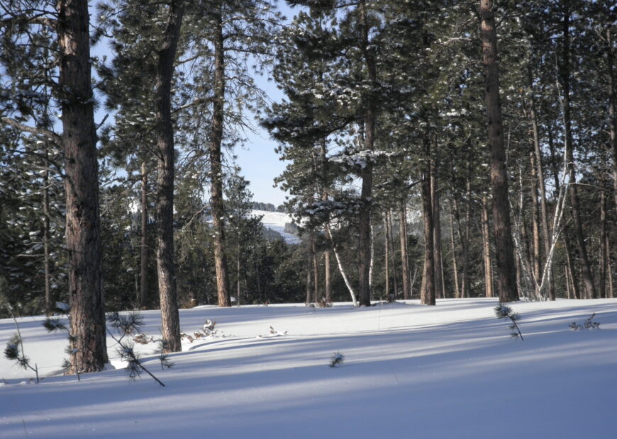 snow covered hills