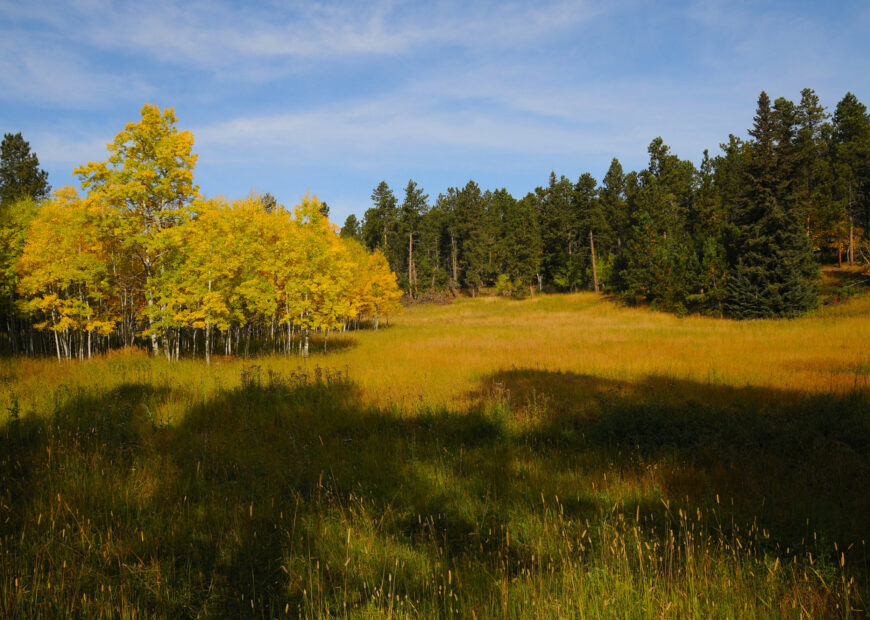 sunny meadow in the hills