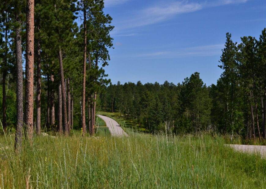 road through the black hills